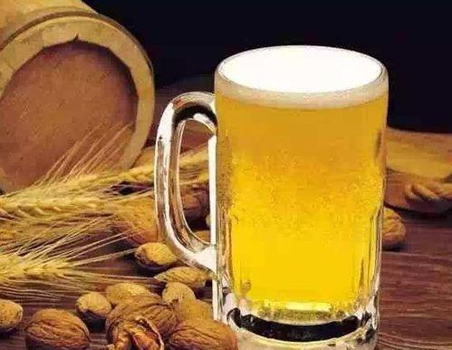 打假国产精酿啤酒视频,打假视频曝光行业乱象