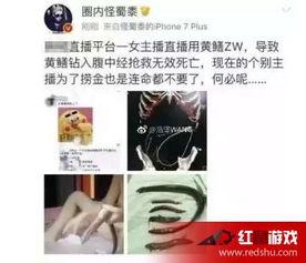 国产黄鳝在线播放视频,揭秘神秘水下生物的诱惑世界