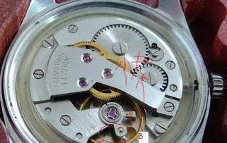 国产杂牌机械表维修视频